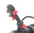 CRAMER 82B36