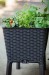 květin&aacute;č EASY GROW grafit