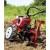 PUBERT QUATRO JUNIOR V3 60H