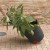 PROGRESS zahradní plastový vozík - černá